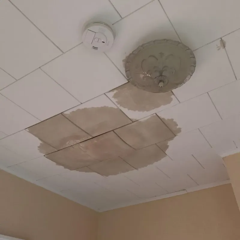 Ceiling Water Damage Repair in Teaticket, MA