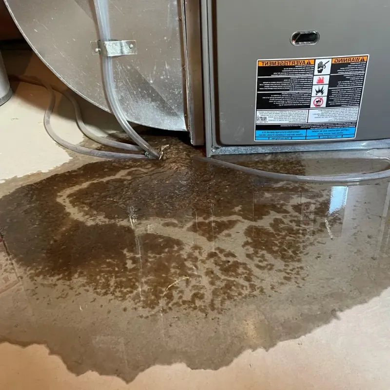 Pipe Burst and Leak Restoration in Teaticket, MA