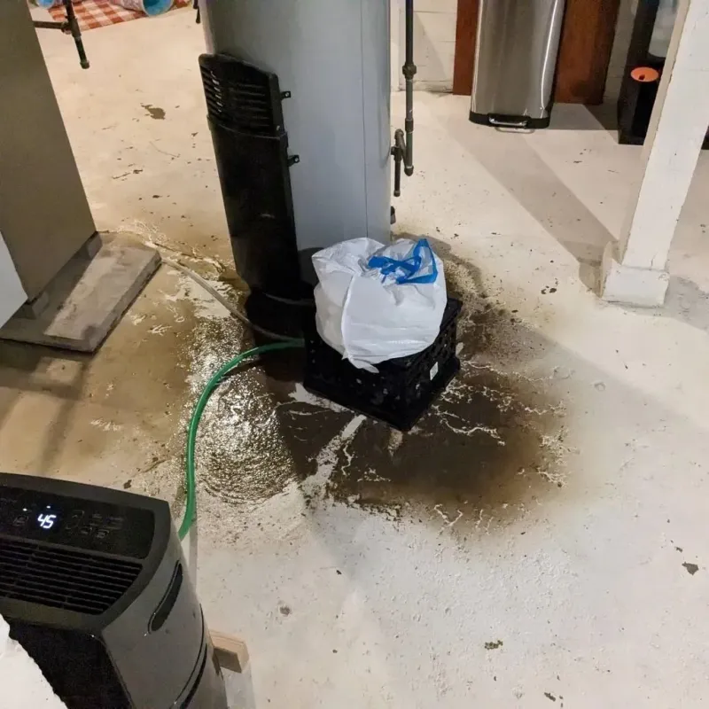 Sewage Backup Cleanup Service in Teaticket, MA